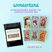 Load image into Gallery viewer, Wonderland Interchangeable Magnet Pin Mystery Blind Bag