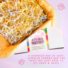 Load image into Gallery viewer, A Little Box of Pawsitivity Surprise Box
