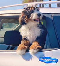 Load image into Gallery viewer, PeopleMover Car Decal