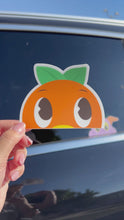 Load and play video in Gallery viewer, Orange Bird Peeker Car Decal