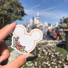 Load image into Gallery viewer, Mystery Pack Random Stickers