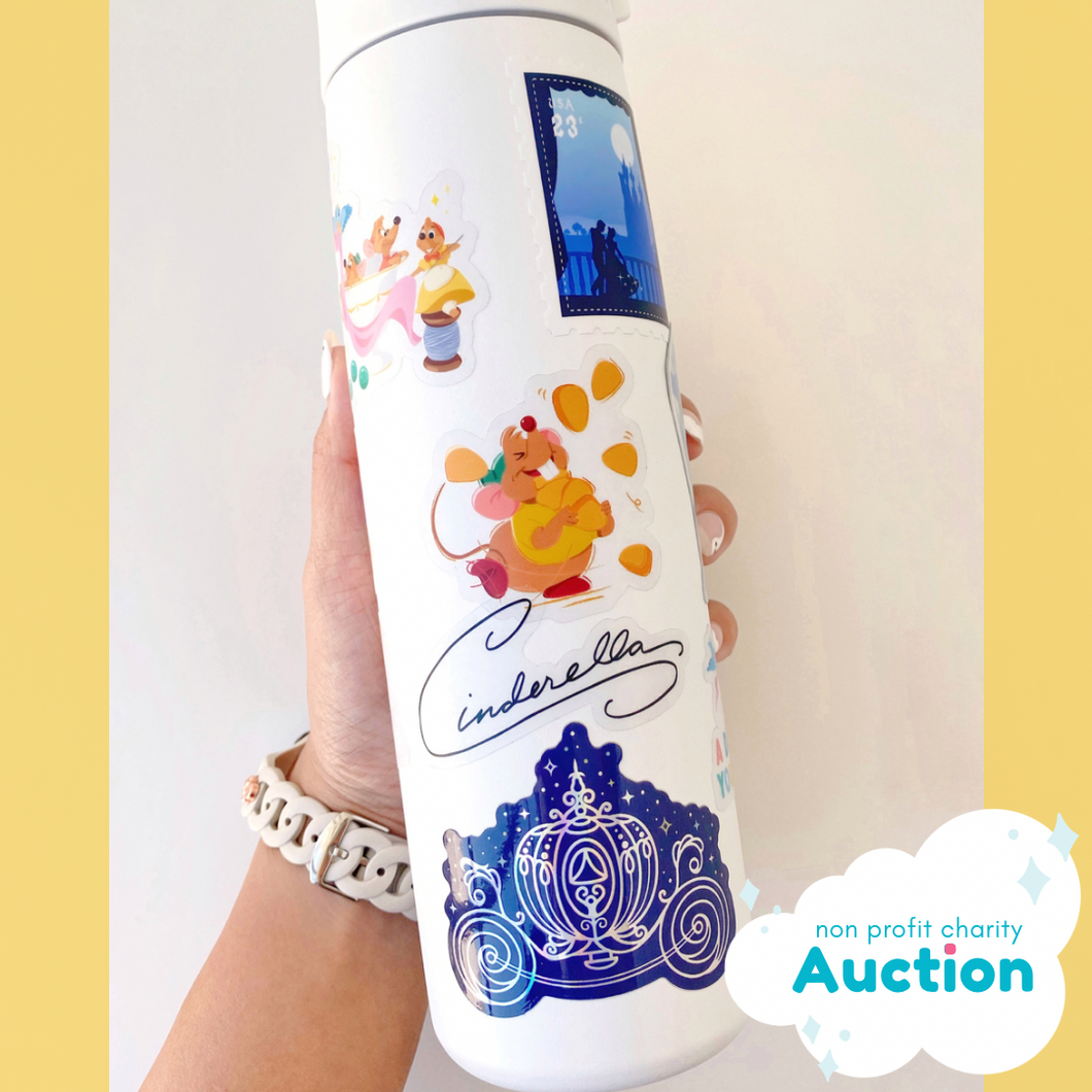 Cinderella Pre-Decorated Bottle Charity Auction