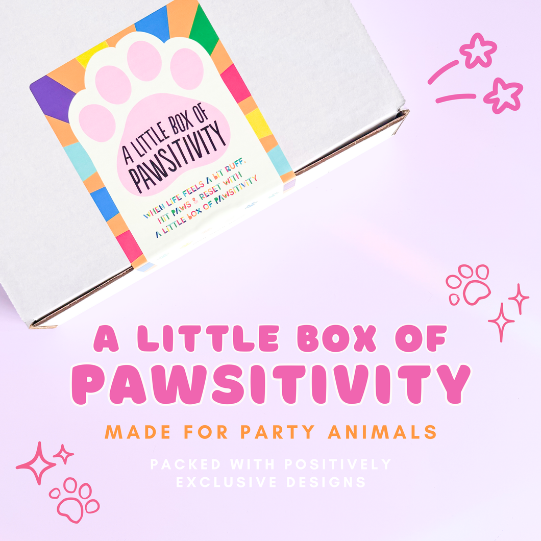 A Little Box of Pawsitivity Surprise Box