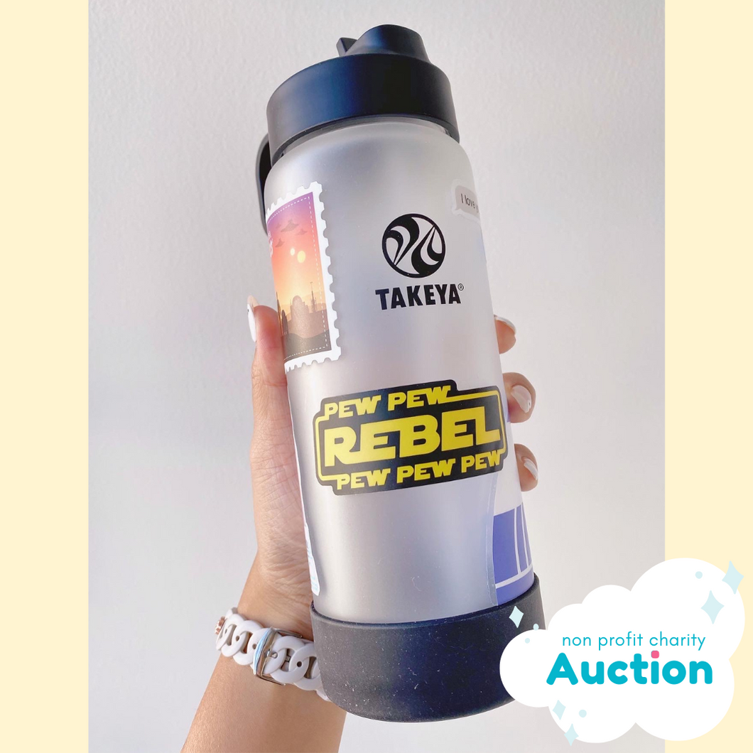 Star Wars Pre-Decorated Bottle Charity Auction