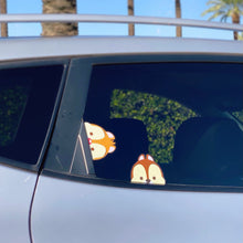 Load image into Gallery viewer, Dale Chipmunk Peeker Car Decal

